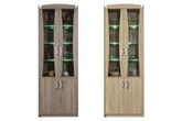 Witryna Mega 1 do salonu przeszklona 2 drzwiowa